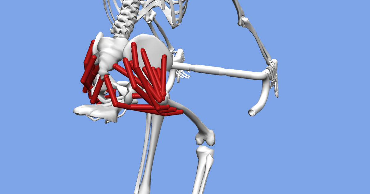How Cycling Uses the Glutes and Hip Extension Biomechanics Zone