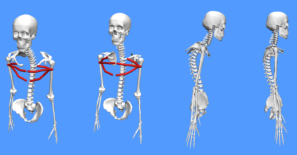 The Hunchback Cyclist | Biomechanics Zone